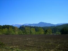 CIMG0834