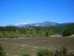 CIMG0837