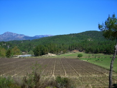 CIMG0838