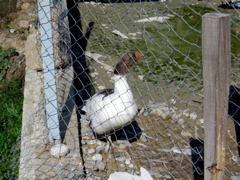 CIMG0578