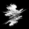 sprayb010.jpg
