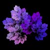 spraycb013.jpg