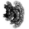 sprayw026.jpg