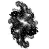 sprayw046.jpg
