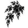 sprayw048.jpg