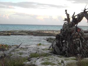 A nice old trunk on the beach.