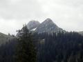 pict0071.jpg