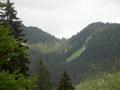 pict0083.jpg