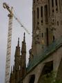 pict0490.jpg