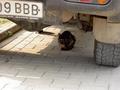 pict0496.jpg