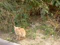 pict0498.jpg