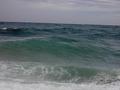 pict0918.jpg
