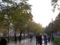 pict0856.jpg