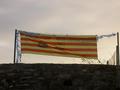 pict0994.jpg