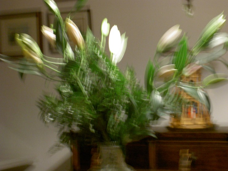 Click for original image 677k 2048x1536