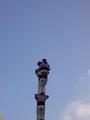 pict0787.jpg