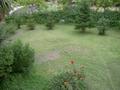 pict0190.jpg