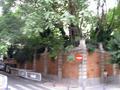 pict0209.jpg