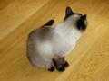 pict0258.jpg