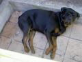 pict0262.jpg