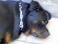 pict0263.jpg