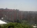 pict0284.jpg