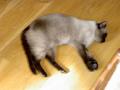 pict0453.jpg