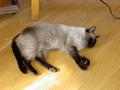 pict0454.jpg