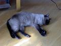 pict0455.jpg