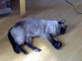 pict0456.jpg