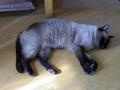 pict0457.jpg