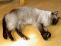 pict0459.jpg