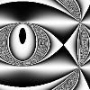 yaragrey000021.jpg